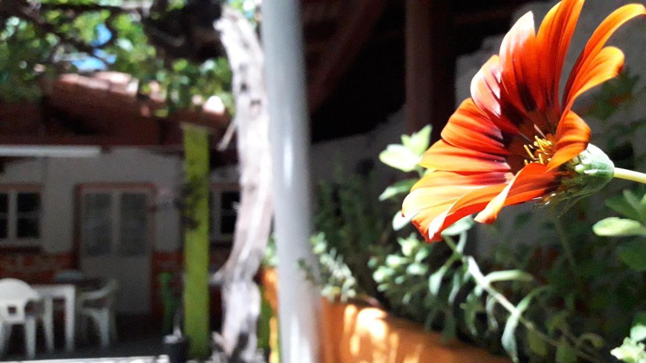 Hospedaje Don Alberto Hotel Potrerillos Eksteriør billede